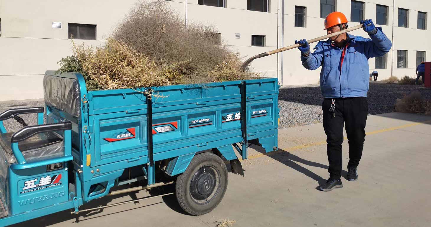 常州廠區(qū)清理枯草落葉