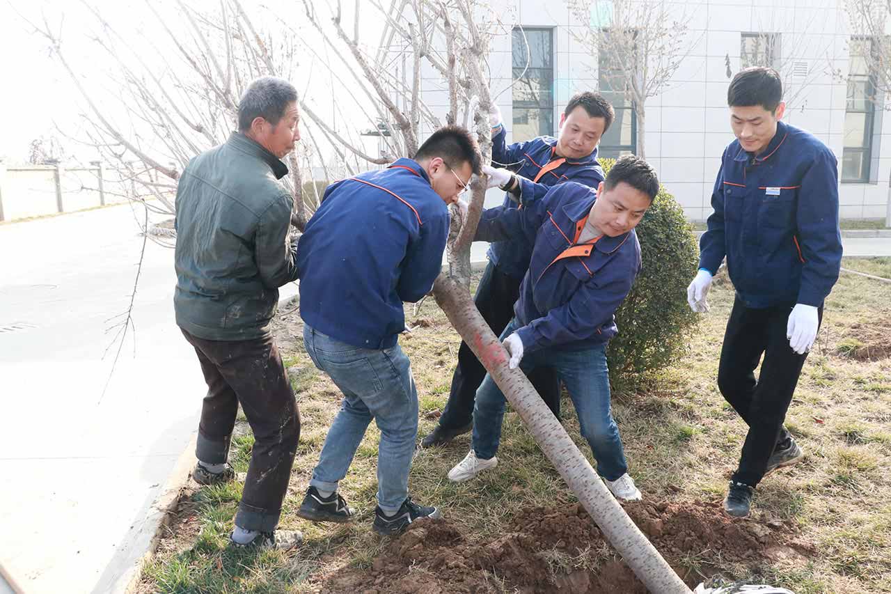 江蘇工廠植樹活動 江蘇工廠植樹活動